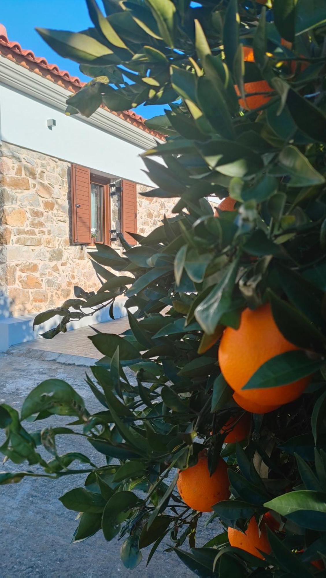 Village *